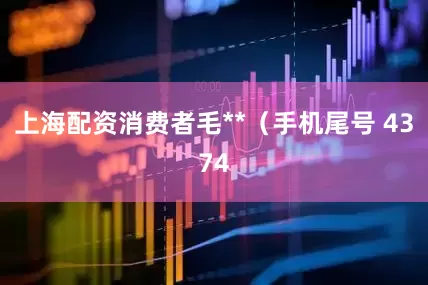 上海配资消费者毛**（手机尾号 4374