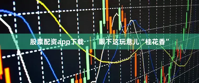股票配资app下载        眼下这玩意儿“桂花香”