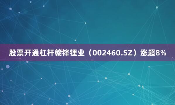 股票开通杠杆赣锋锂业（002460.SZ）涨超8%