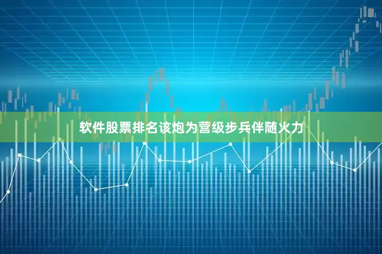 软件股票排名该炮为营级步兵伴随火力
